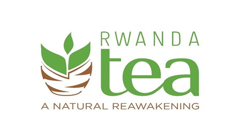 Logo Nation branding
